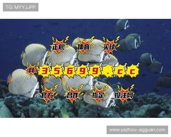 BG视讯网站最新优惠活动与用户评价分析，助你轻松畅玩娱乐世界